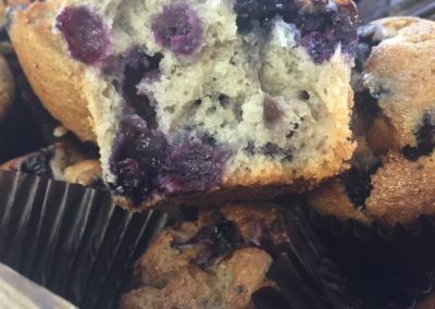 Wild Canadain Blueberry Muffins